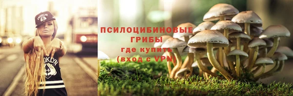 ешки Бугульма
