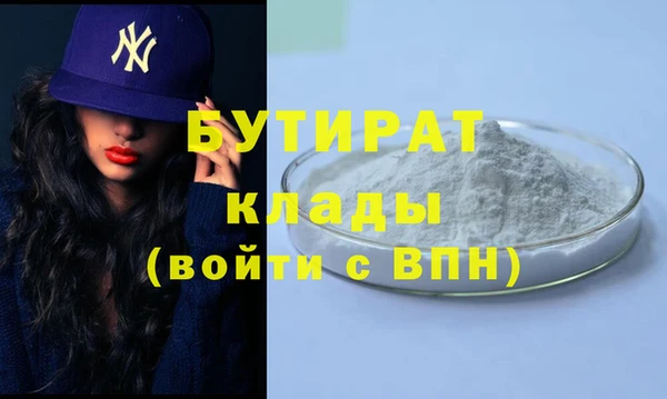 МДПВ Бородино
