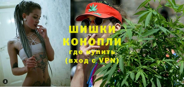 дживик Бронницы