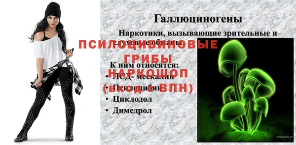 МДПВ Бородино
