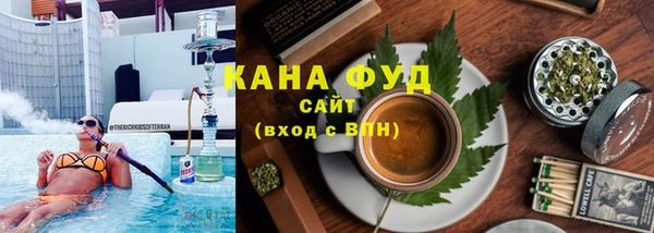 МДПВ Бородино
