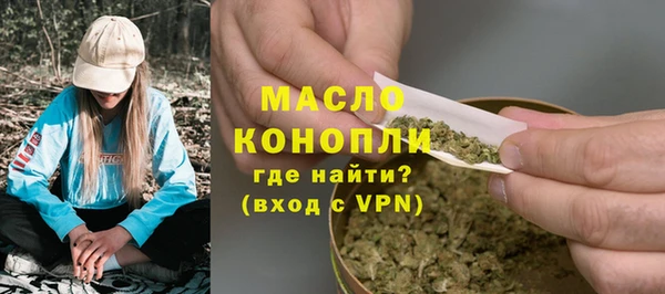 дживик Бронницы